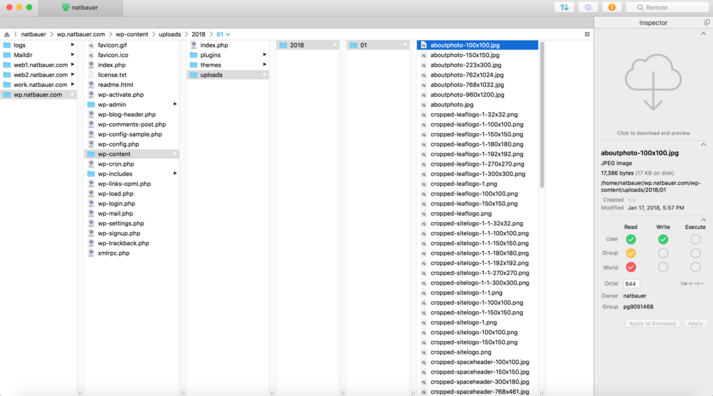 wp-content uploads